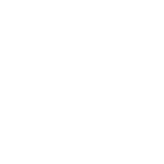תמרים